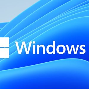 Windows 11 Pro 64-bit OEM DVD
